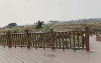 双流空港花田塑木地板围栏展示